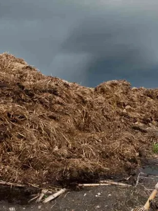 Biofertilizer